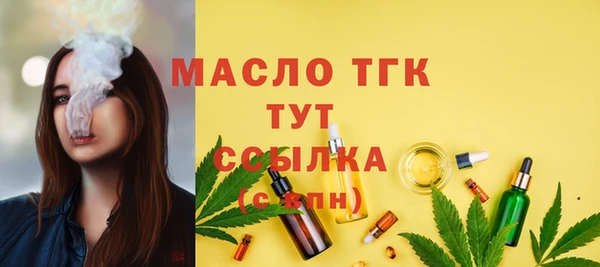 первитин Богданович